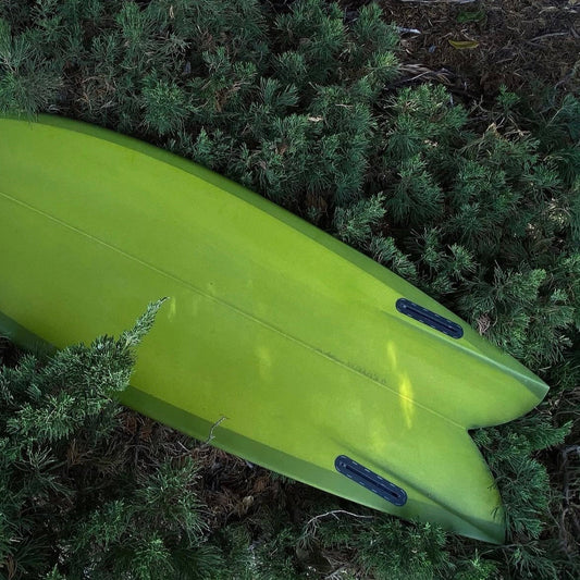 5'4 Bonsai | Sage