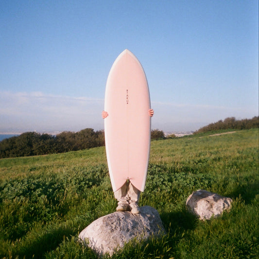 5'6 Bonsai | Rose